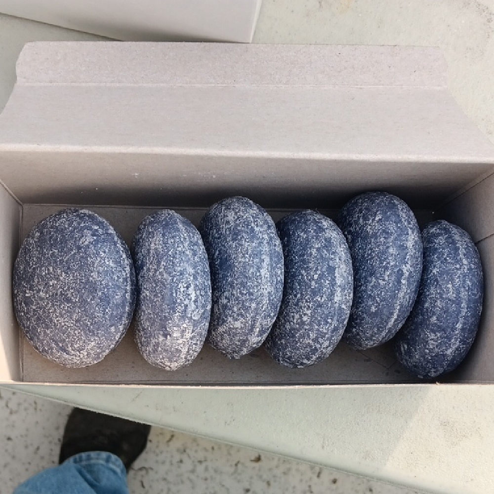 Lot Of 6 Blueberry Shampoo Bars Only $10.00